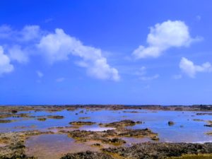 宝島の静かな海岸