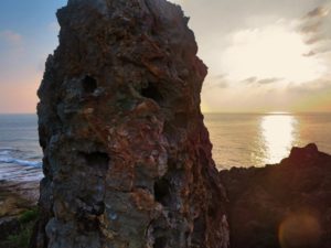 宝島の海岸にそびえたつ岩