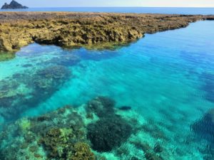宝島のサンゴ礁の海