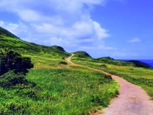 宝島の牧場へつづく丘