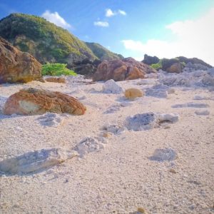宝島の砂浜と岩