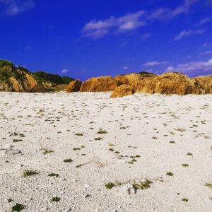 宝島の砂浜と岩
