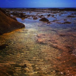 宝島の大間海岸の潮だまり
